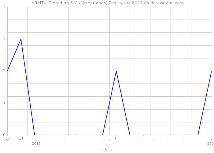 InfinITy IT Holding B.V. (Netherlands) Page visits 2024 