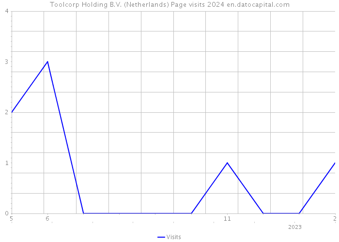 Toolcorp Holding B.V. (Netherlands) Page visits 2024 