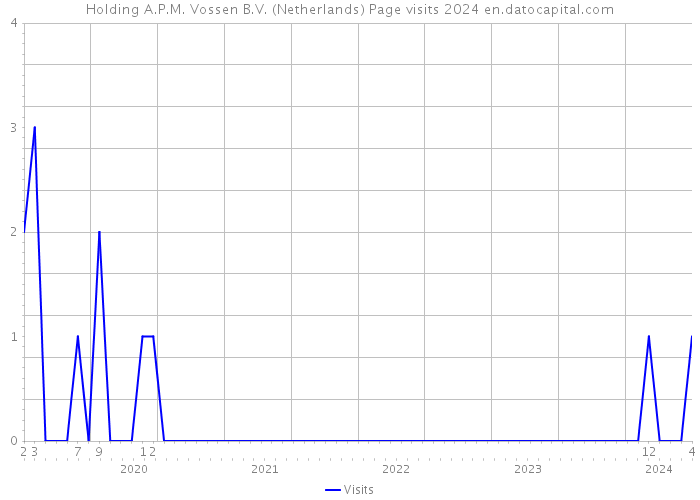 Holding A.P.M. Vossen B.V. (Netherlands) Page visits 2024 