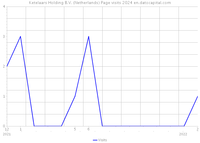 Ketelaars Holding B.V. (Netherlands) Page visits 2024 
