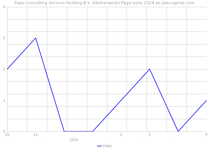 Data Consulting Services Holding B.V. (Netherlands) Page visits 2024 