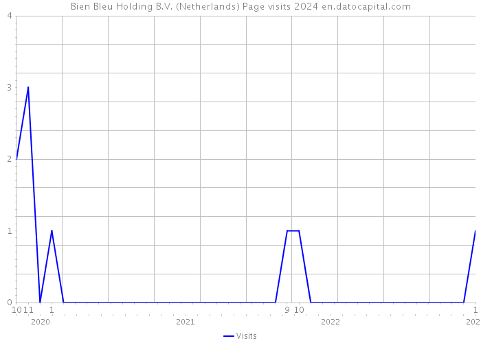 Bien Bleu Holding B.V. (Netherlands) Page visits 2024 