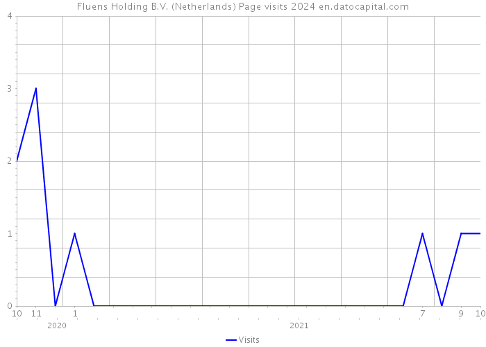 Fluens Holding B.V. (Netherlands) Page visits 2024 
