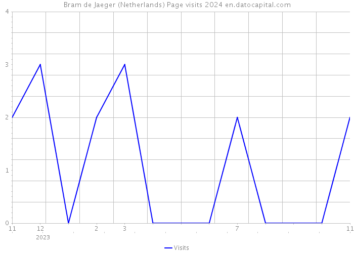 Bram de Jaeger (Netherlands) Page visits 2024 