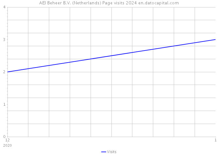 AEI Beheer B.V. (Netherlands) Page visits 2024 