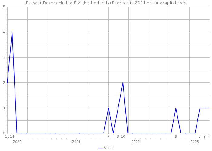 Pasveer Dakbedekking B.V. (Netherlands) Page visits 2024 