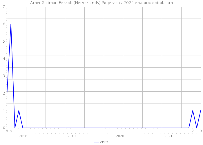 Amer Sleiman Ferzoli (Netherlands) Page visits 2024 