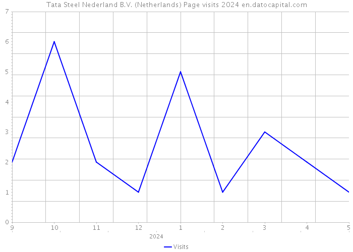 Tata Steel Nederland B.V. (Netherlands) Page visits 2024 