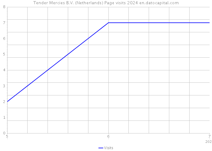 Tender Mercies B.V. (Netherlands) Page visits 2024 