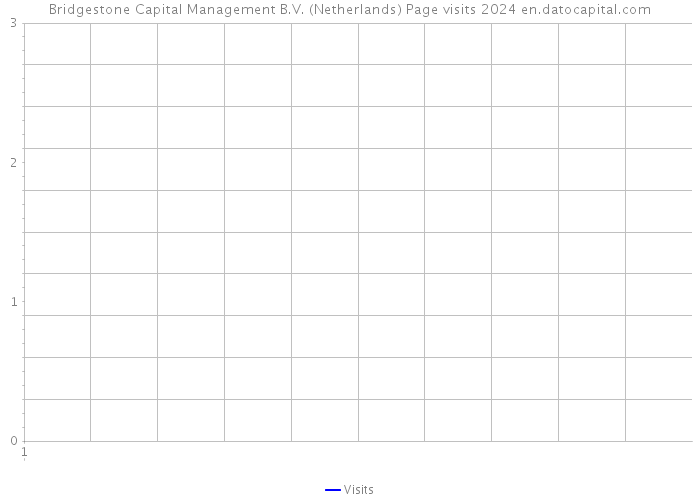 Bridgestone Capital Management B.V. (Netherlands) Page visits 2024 