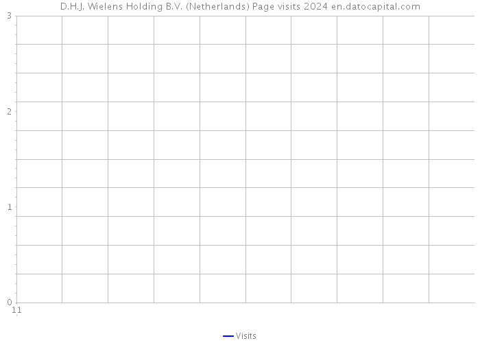 D.H.J. Wielens Holding B.V. (Netherlands) Page visits 2024 