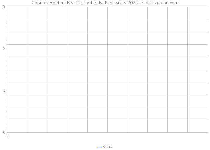 Goonies Holding B.V. (Netherlands) Page visits 2024 