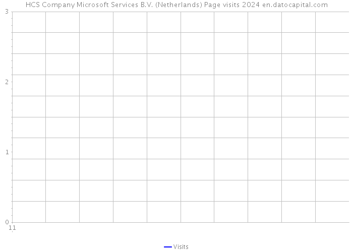 HCS Company Microsoft Services B.V. (Netherlands) Page visits 2024 