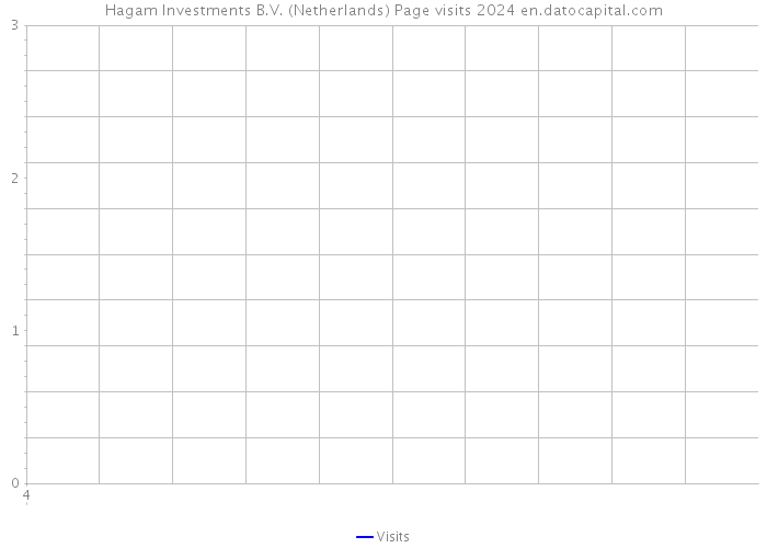 Hagam Investments B.V. (Netherlands) Page visits 2024 