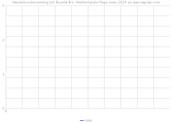 Handelsonderneming J.H. Bouma B.V. (Netherlands) Page visits 2024 