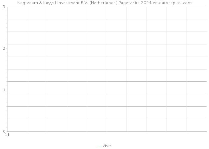 Nagtzaam & Kayyal Investment B.V. (Netherlands) Page visits 2024 