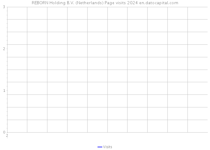 REBORN Holding B.V. (Netherlands) Page visits 2024 