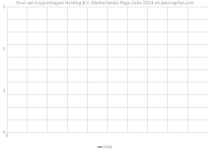 Roel van Koppenhagen Holding B.V. (Netherlands) Page visits 2024 