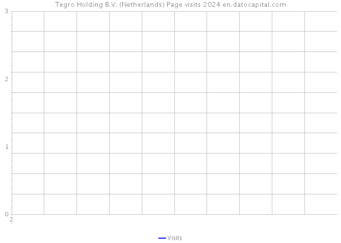 Tegro Holding B.V. (Netherlands) Page visits 2024 