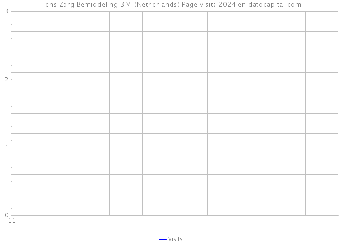 Tens Zorg Bemiddeling B.V. (Netherlands) Page visits 2024 