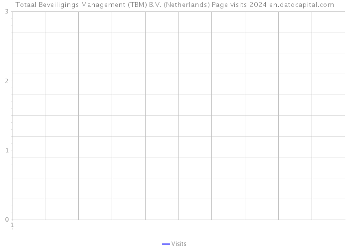 Totaal Beveiligings Management (TBM) B.V. (Netherlands) Page visits 2024 