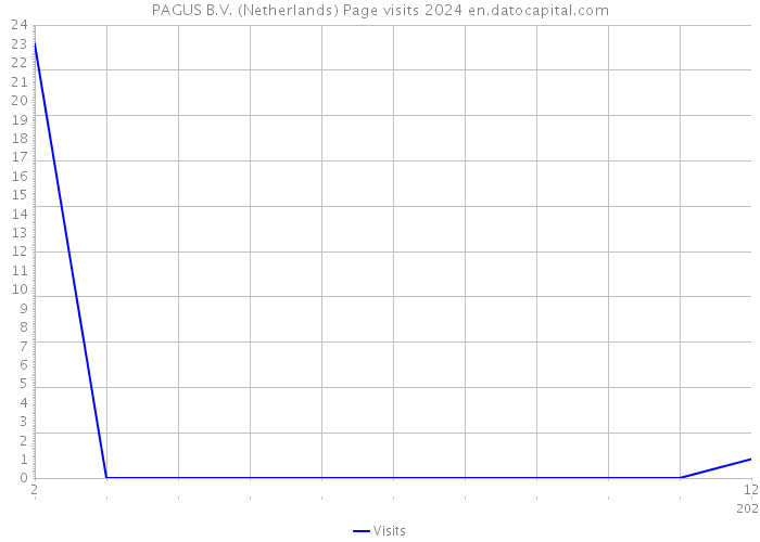 PAGUS B.V. (Netherlands) Page visits 2024 