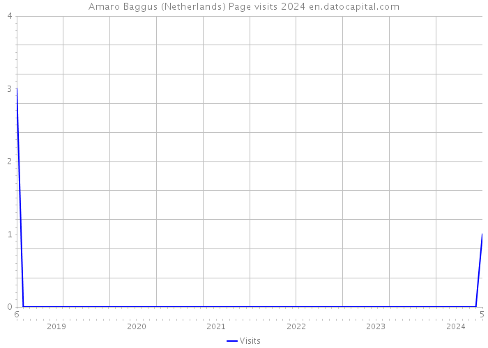 Amaro Baggus (Netherlands) Page visits 2024 