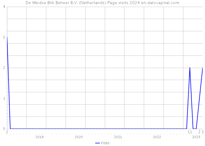 De Weidse Blik Beheer B.V. (Netherlands) Page visits 2024 