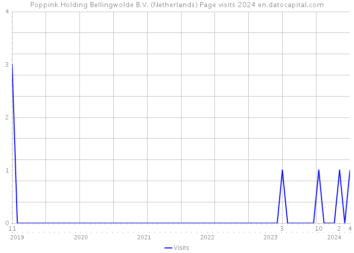 Poppink Holding Bellingwolde B.V. (Netherlands) Page visits 2024 