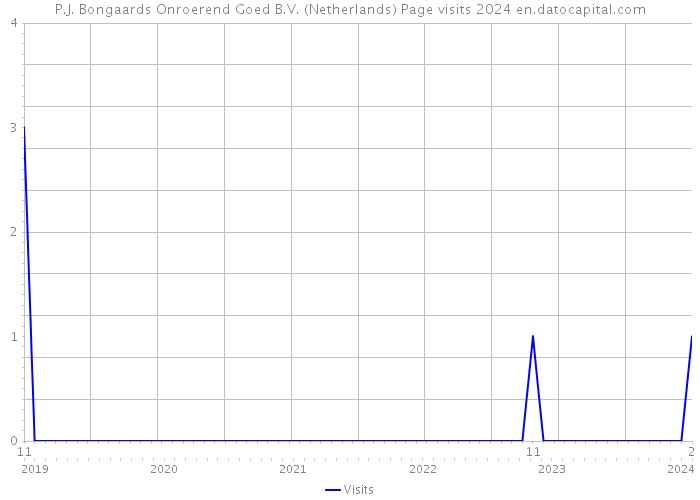 P.J. Bongaards Onroerend Goed B.V. (Netherlands) Page visits 2024 