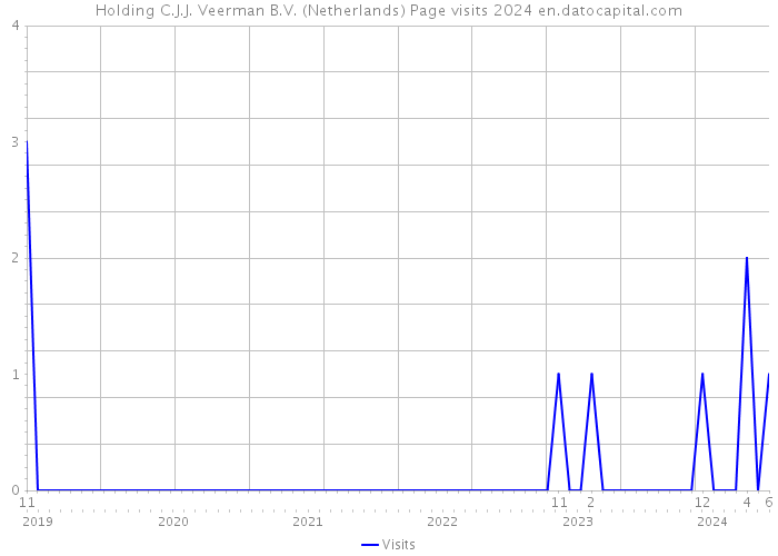 Holding C.J.J. Veerman B.V. (Netherlands) Page visits 2024 