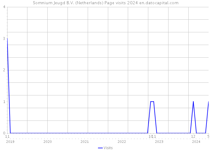 Somnium Jeugd B.V. (Netherlands) Page visits 2024 