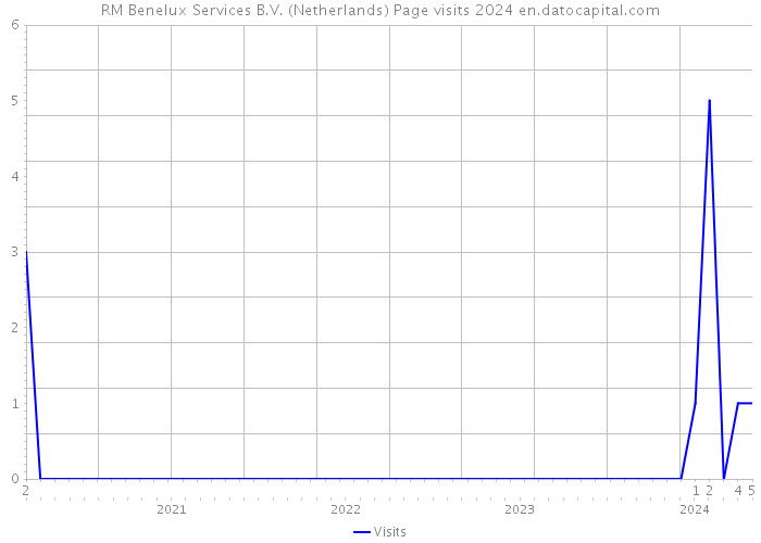 RM Benelux Services B.V. (Netherlands) Page visits 2024 