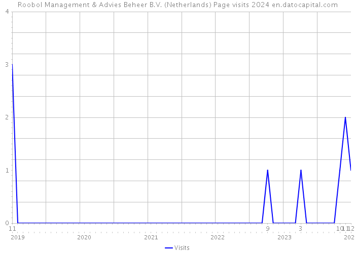 Roobol Management & Advies Beheer B.V. (Netherlands) Page visits 2024 