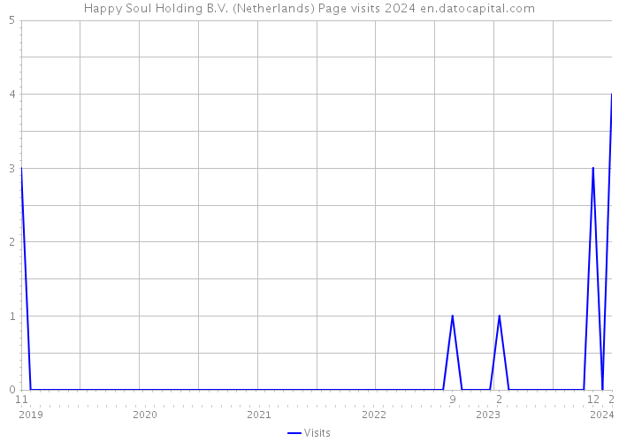 Happy Soul Holding B.V. (Netherlands) Page visits 2024 