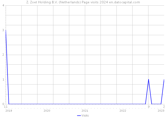 Z. Zoet Holding B.V. (Netherlands) Page visits 2024 