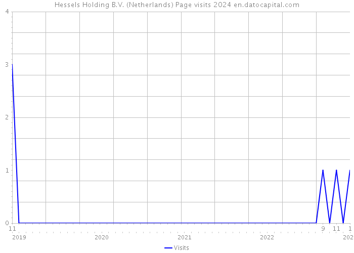Hessels Holding B.V. (Netherlands) Page visits 2024 