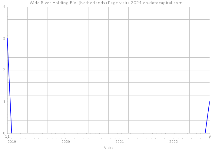 Wide River Holding B.V. (Netherlands) Page visits 2024 