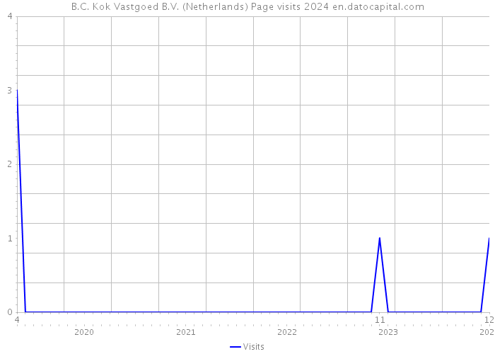 B.C. Kok Vastgoed B.V. (Netherlands) Page visits 2024 
