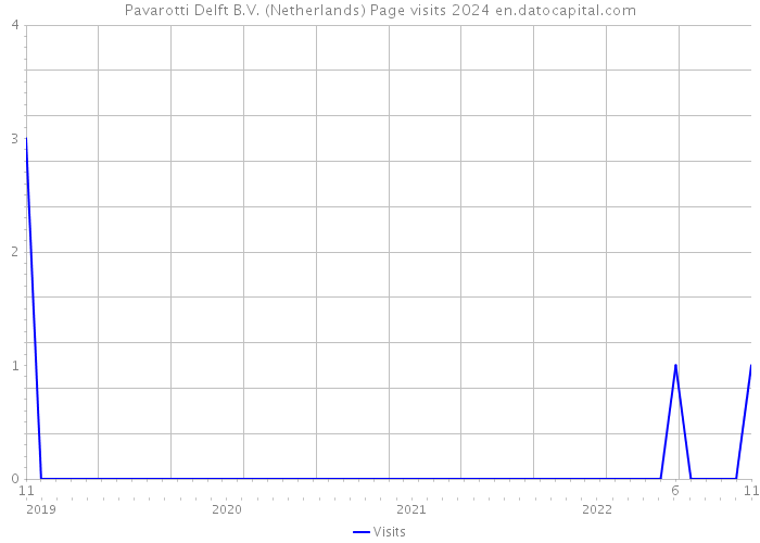 Pavarotti Delft B.V. (Netherlands) Page visits 2024 