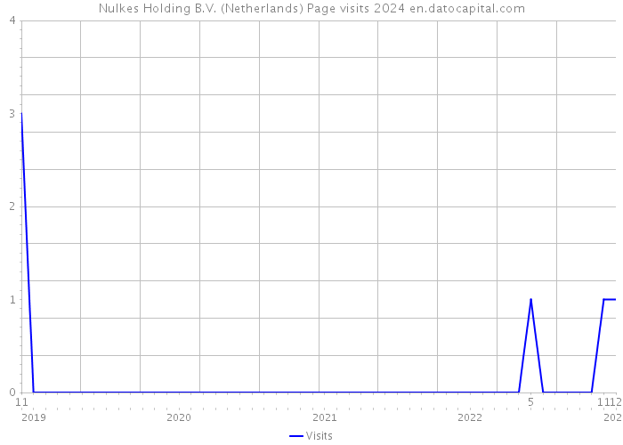 Nulkes Holding B.V. (Netherlands) Page visits 2024 