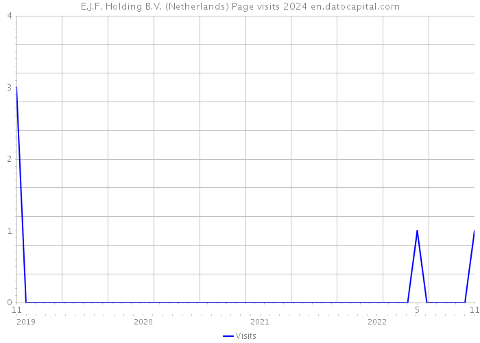 E.J.F. Holding B.V. (Netherlands) Page visits 2024 