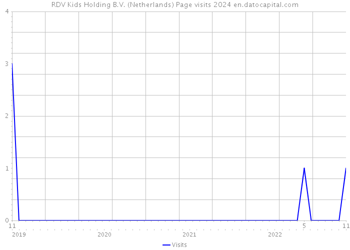 RDV Kids Holding B.V. (Netherlands) Page visits 2024 