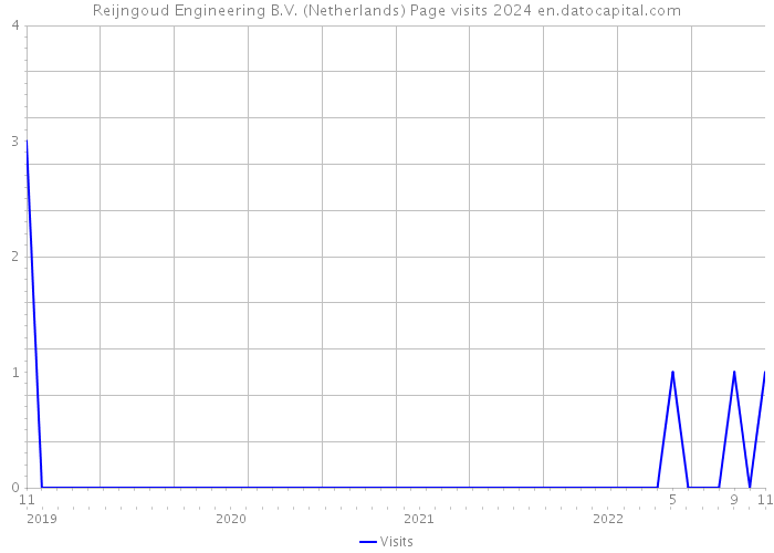 Reijngoud Engineering B.V. (Netherlands) Page visits 2024 