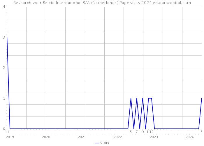 Research voor Beleid International B.V. (Netherlands) Page visits 2024 