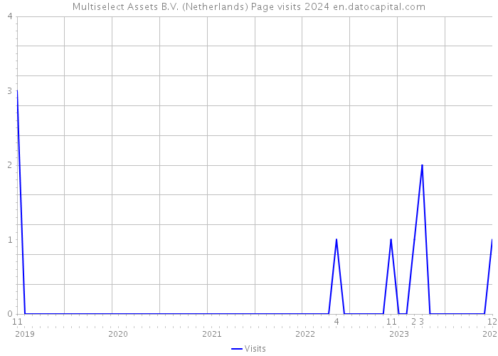 Multiselect Assets B.V. (Netherlands) Page visits 2024 