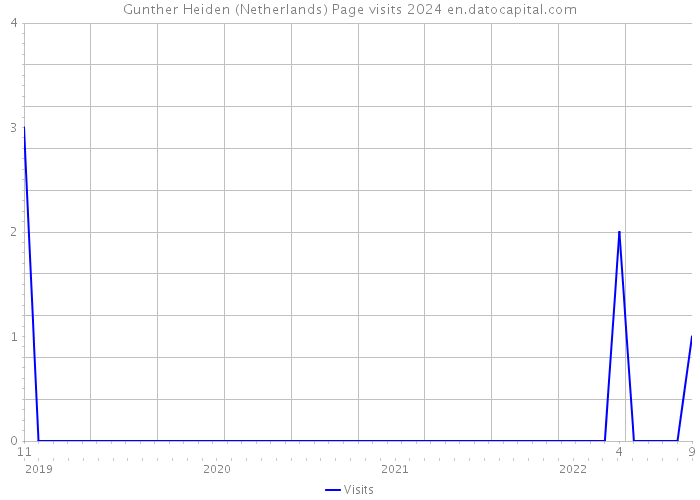 Gunther Heiden (Netherlands) Page visits 2024 