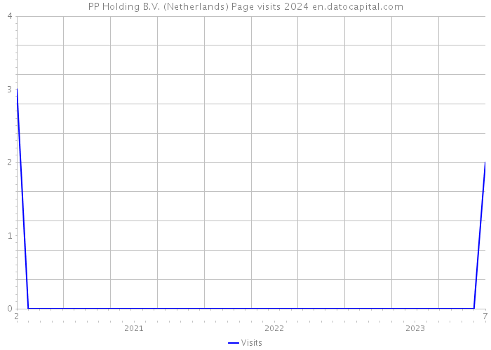 PP Holding B.V. (Netherlands) Page visits 2024 