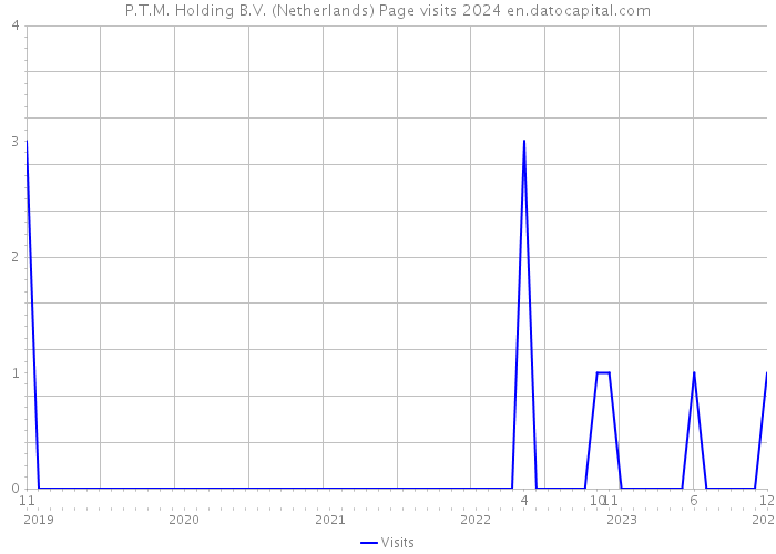 P.T.M. Holding B.V. (Netherlands) Page visits 2024 