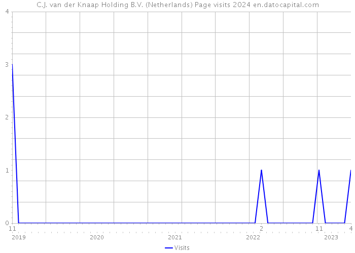 C.J. van der Knaap Holding B.V. (Netherlands) Page visits 2024 